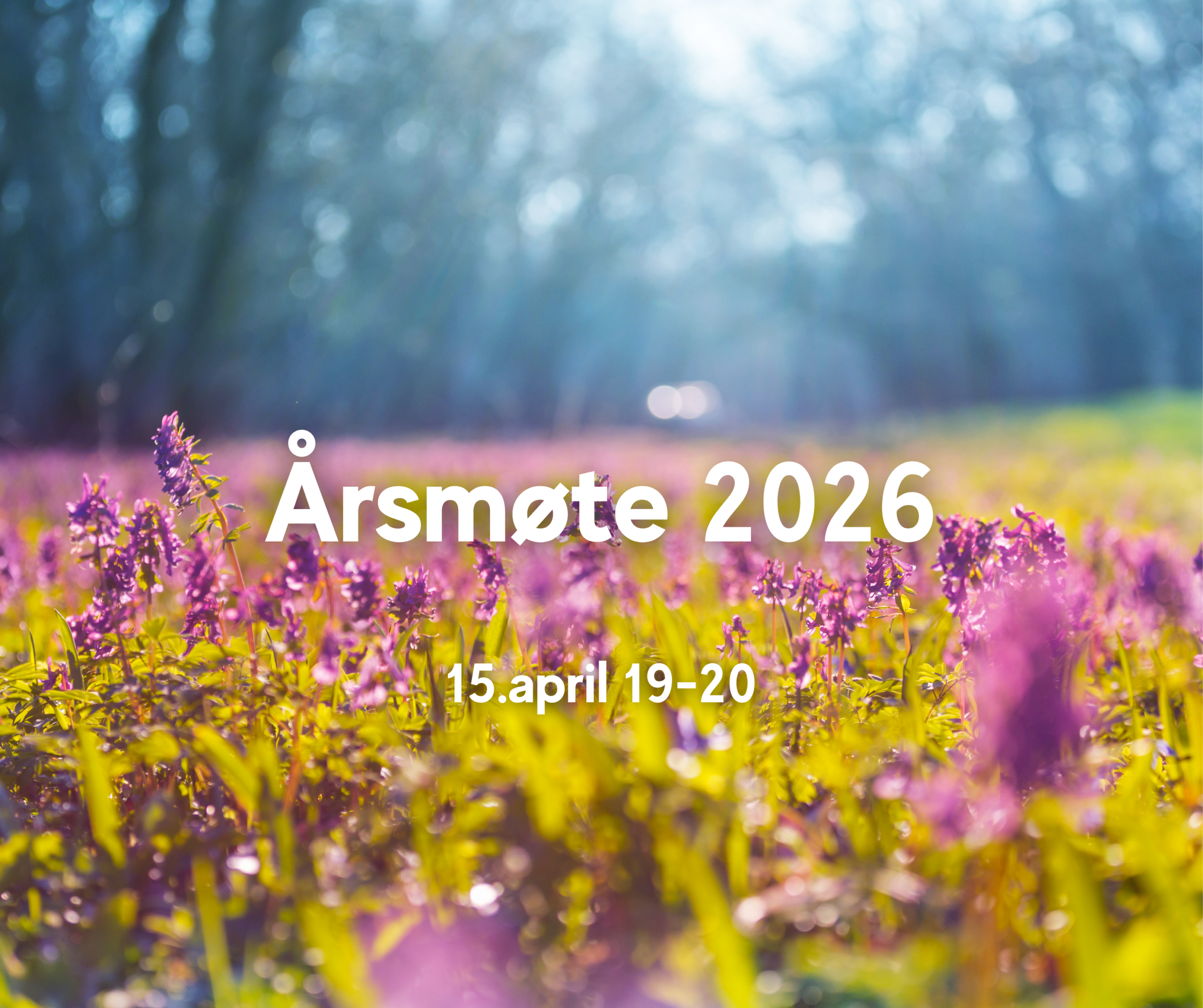 Kopi av Velkommen til årsmøte 2025 (3)