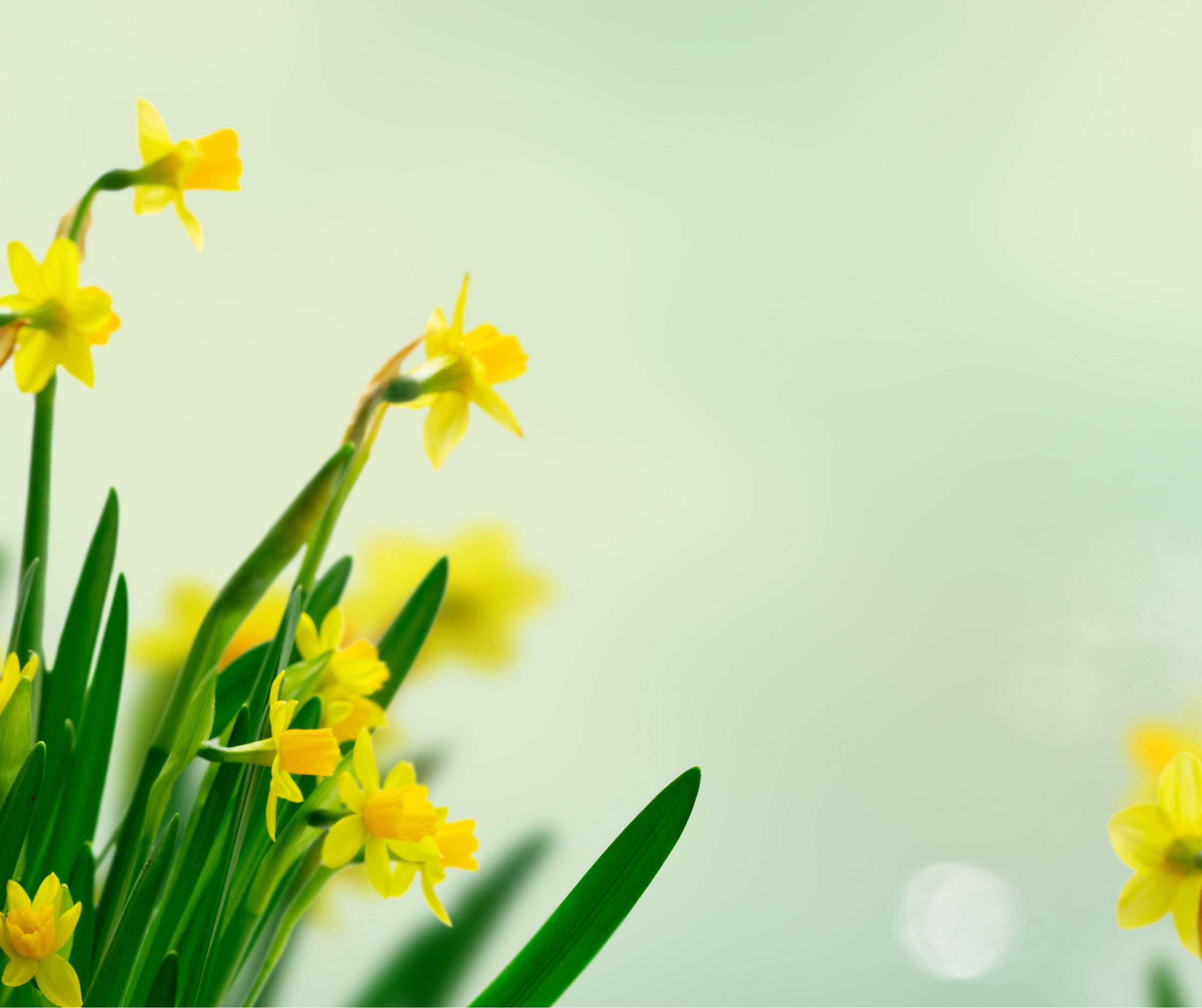 Vi holder påskestengt fra onsdag (1)