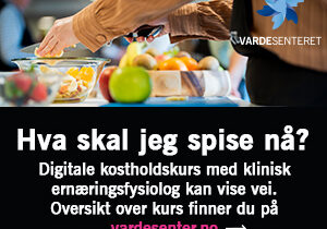 300x250_kostrådskurs_Vardesenteret_2023