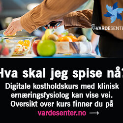 300x250_kostrådskurs_Vardesenteret_2023