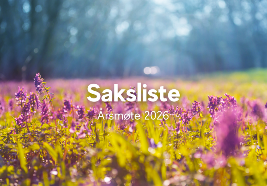 Kopi av Velkommen til årsmøte 2025 (5)