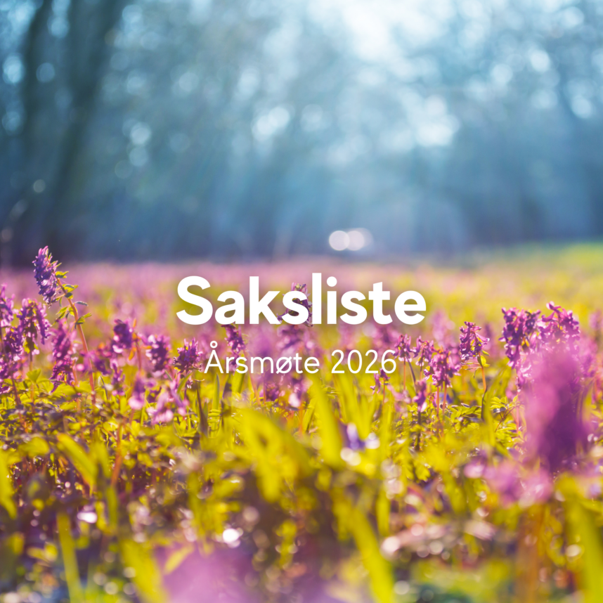 Kopi av Velkommen til årsmøte 2025 (5)