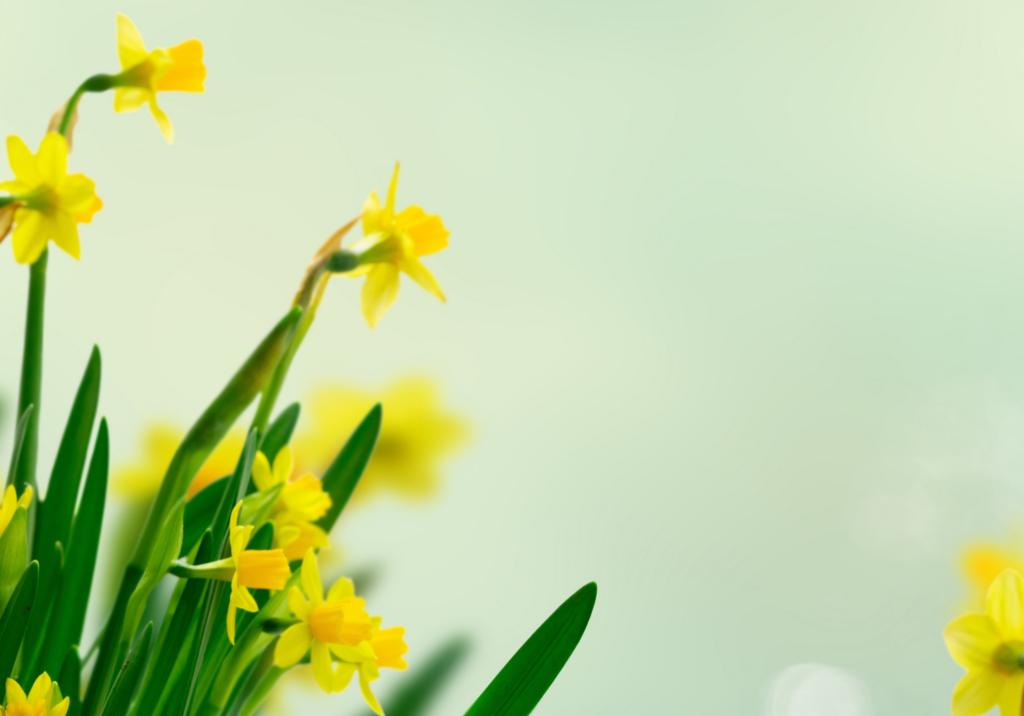 Vi holder påskestengt fra onsdag (1)