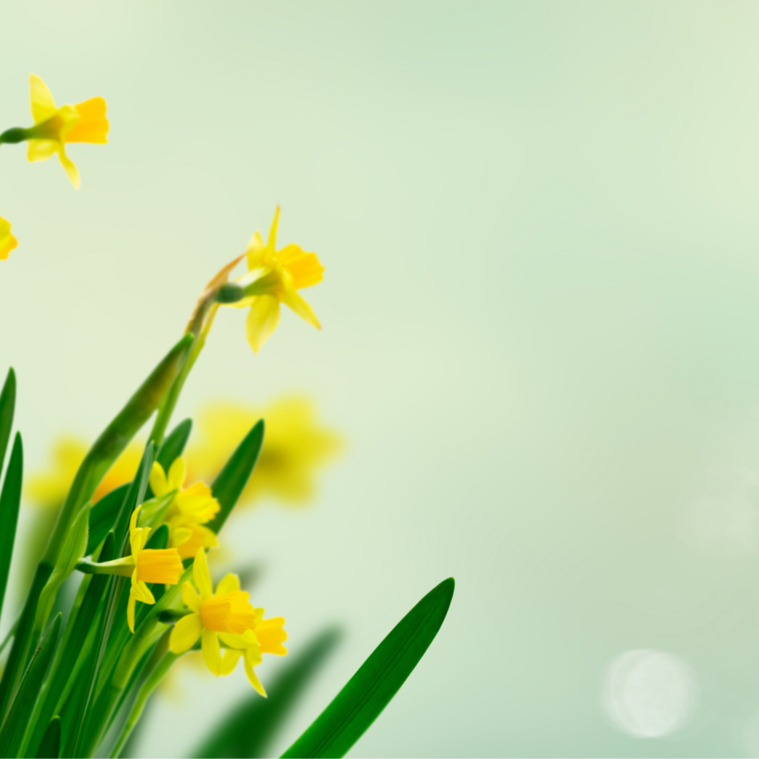 Vi holder påskestengt fra onsdag (1)